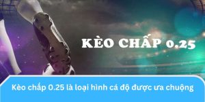 Kèo chấp 0.25 là loại hình cá độ bóng đá rất được ưa chuộng