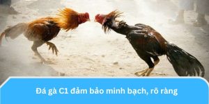 Đảm bảo minh bạch, rõ ràng