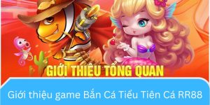 Giới thiệu game Bắn Cá Tiểu Tiên Cá RR88