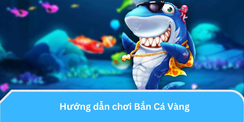 Hướng dẫn chơi chi tiết