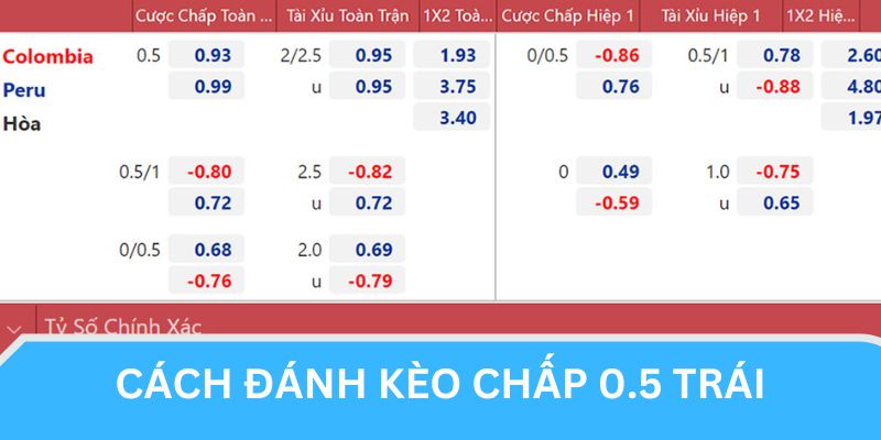 Hướng dẫn chơi kèo 1/2 Handicap qua ví dụ cụ thể