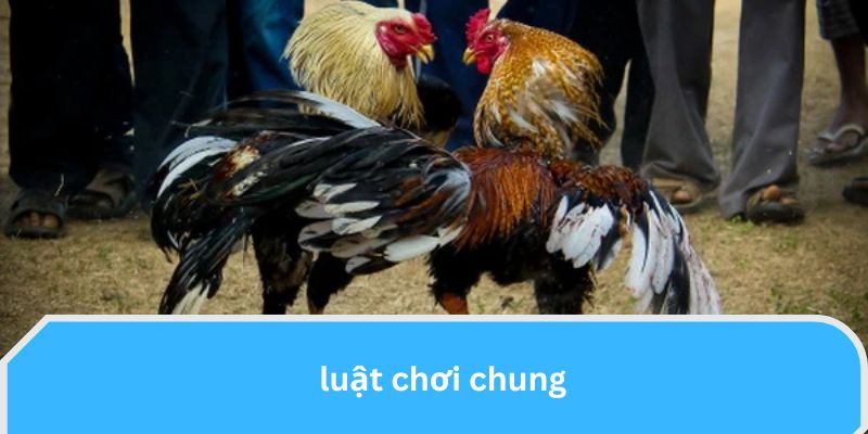 Luật chơi chung